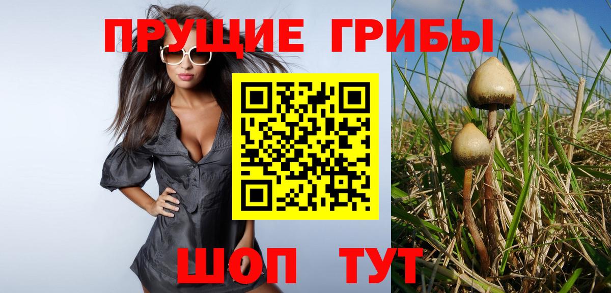 Галлюциногенные грибы GOLDEN TEACHER Острогожск