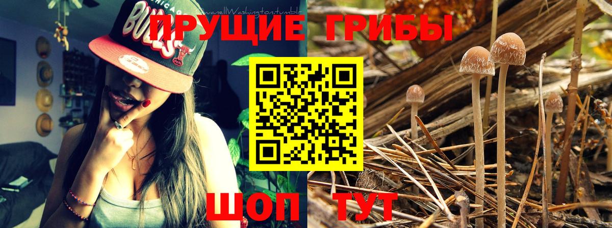МЕФ  Канабис  Cocaine  Меф кристаллы  Вход с VPN  ГАШИШ  Острогожск  ГАШИШ 